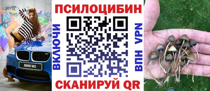 Купить закладки  Заречный  Галлюциногенные грибы Cubensis 